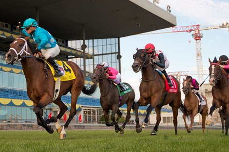 Jockey Justin Stein guides Starship Jubilee to victory in thee $1,000,000 dollar Ricoh Woodbine Mile.Starship Jubilee is trained by Kevin Attard and owned by Blue Heaven Farm. Michael Burns Photo