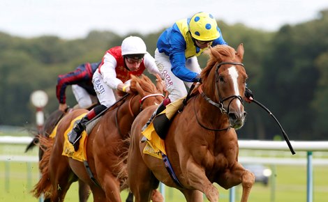 Dream of Dreams and Oisin Murphy winning The Betfair Sprint Cup Stakes <br><br />
Haydock 5.9.2020