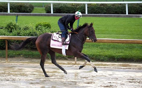 Donna Veloce out for a gallop on the Churchill Downs main track Wednesday Sept. 2, 2020 In Louisville, KY. 