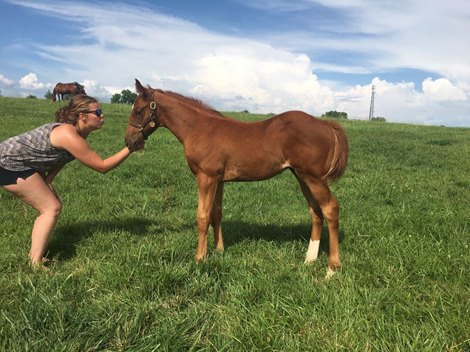 Finnick the Fierce as a foal with Paige Gilster 