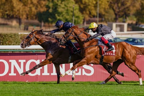 Anthony Van Dyck (M. Barzalona) wins Qatar Prix Foy Gr.2 in ParisLongchamp 13/09/20, photo: Zuzanna Lupa