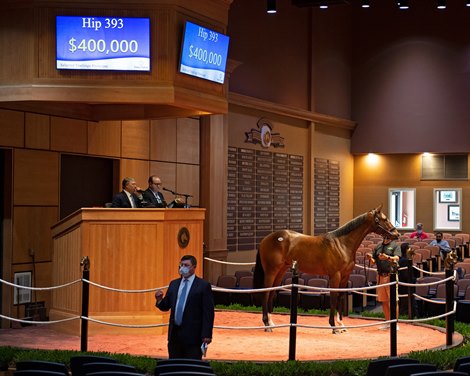 Hip 393 colt by Arrogate out of Succeeding from Hill ’n’ Dale<br>
Fasig-Tipton Selected Yearlings Showcase in Lexington, KY on September 10, 2020.