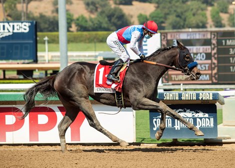 Princess Noor and jockey Victor Espinoza win the G2, $200,000 Chandelier Stakes, Saturday, September 26, 2020 at Santa Anita Park, Arcadia CA.