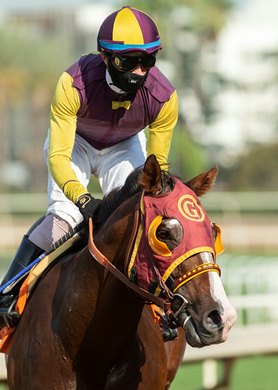 Jockey Juan Hernandez guides Big Runnuer to the winner&#39;s circle after their victory in the G2, $200,000 Eddie D. Stakes, Friday, September 25, 2020 at Santa Anita Park, Arcadia CA.