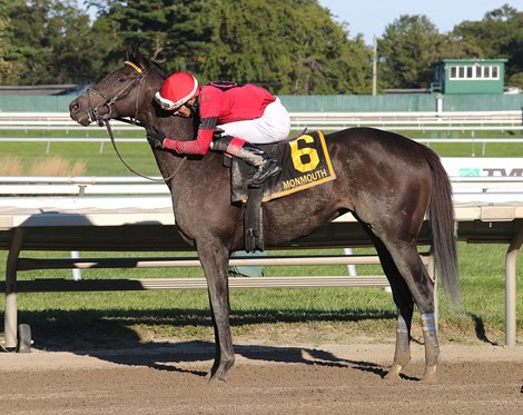 Pirate&#39;s Punch #6 with Jorge Vargas, Jr. riding won the $150,000 Grade 3 Salvator Mile at Monmouth Park Racetrack in Oceanport, NJ on Sunday September 20, 2020.  Photo By Bill Denver/EQUI-PHOTO.