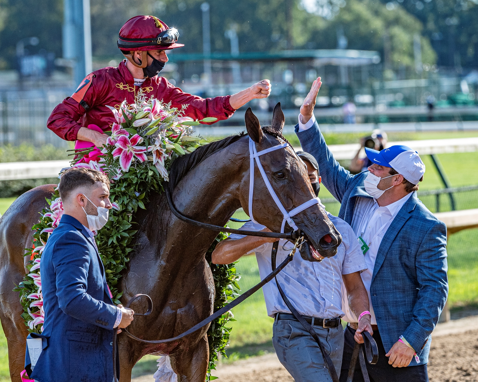 Daredevil to Stand at Lane's End in 2021 - BloodHorse