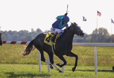 Dalika wins the $300,000 One Dreamer Stakes under Miguel Mena. Trained by Al Stall for owner Bal Mar Equine LLC. Photos by Grace Clark/Kentucky Downs
