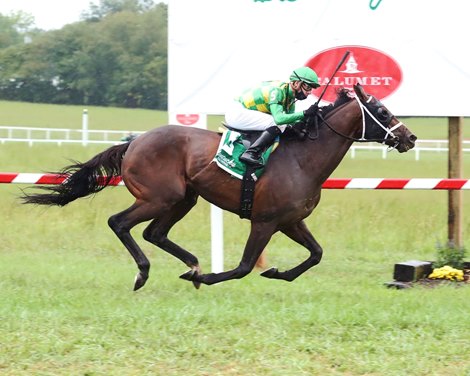 Arklow wins the Kentucky Turf Cup Stakes Saturday, September 12, 2020 at Kentucky Downs