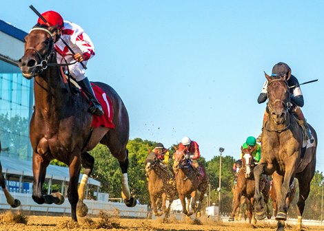 Grand Cru Classe wins 2020 Weber City Miss Stakes at Laurel Park