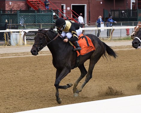 Officer Hutchy wins the 2020 New York Stallion Series Stakes at Saratoga