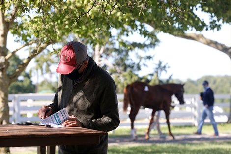 Scenics, 2020 Keeneland September Yearling Sale