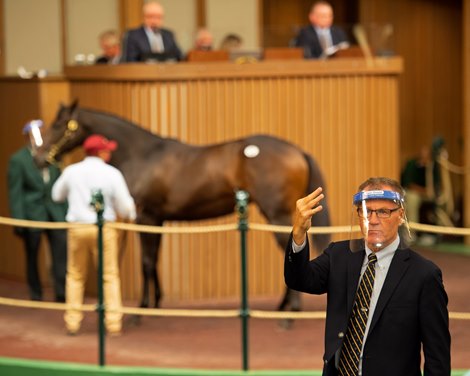 Bidspotter<br><br />
Keeneland September sale yearlings in Lexington, KY on September 13, 2020.