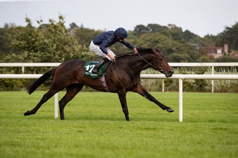Tiger Moth and Ryan Moore take the Paddy Power 'Is It 2021 Yet?' Stakes (Group 3).<br><br />
 Irish Champions Weekend<br><br />
Leopardstown Racecourse.<br><br />
12.09.2020<br><br />
