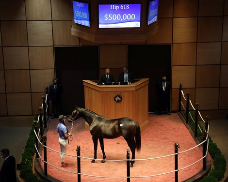 Hip 618<br>
Fasig-Tipton Selected Yearlings Showcase in Lexington, KY on September 10, 2020.
