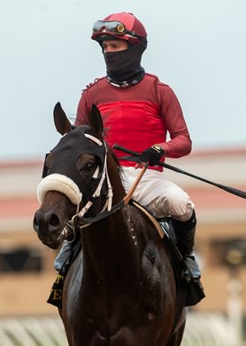 Jockey Flavien Prat guides Dr. Schivel to the winner&#39;s circle after their victory in the Grade I, $250,000 Runhappy Del Mar Futurity, Monday, September 7, 2020 at Del Mar Thoroughbred Club, Del Mar CA. &#169; BENOIT PHOTO