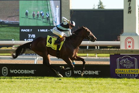 Jockey Kazushi Kimura guides Gretzky the Great to victory in the $250,000 dollar Summer Stakes, win and your in the Breeders's Cup.Gretzky the Great is owned by Gary Barber and Eclipse Thoroughbred Partners and trained by Mark Casse. Michael Burns Photo