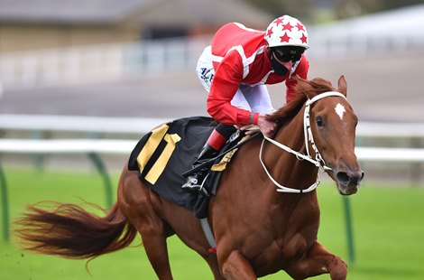 Saffron Beach (Adam Kirby) wins The Blandford Bllodstock Maiden Fillies Stakes