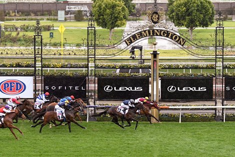 Fierce Impact (JPN) ridden by Mark Zahra wins the PFD Food Services Makybe Diva Stakes at Flemington Racecourse on September 12, 2019 in Flemington, Australia. (Pat Scala/Racing Photos) 