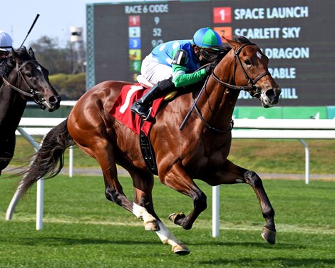 Space Launch - Maiden Win, Belmont Park, September 18, 2020