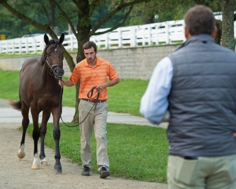 Hip 1227 colt bby Hard Spun out of Waltzingintherain from Farfellow<br>
at Keeneland September sale yearlings in Lexington, KY on September 16, 2020.