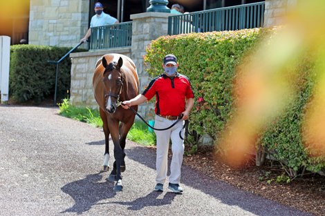 Hip 319, 2020 Keeneland September Yearling Sale