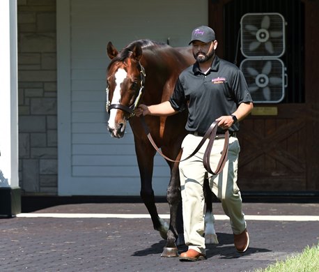 September 6, 2020 Spendthrift Farm<br><br />
Into Mischief, sire of Kentucky Derby winner Authentic...</p></p>
<p><p>Rick Samuels/The Blood-Horse