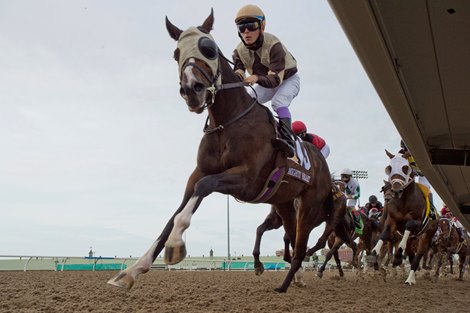 Jockey Daisuke Fukumoto guides Mighty Heart #13, (brown and beige cap silks) to victory in the $1,000,000 dollar Queen&#39;s Plate Stakes for owner Lawrence Cordes.Hall of Fame trainer Josie Carroll captures her 3rd. Queen&#39;s Plate victory. Michael Burns Photo