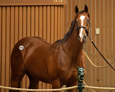 Hip 405  filly by Into Mischief out of Special Me from Machmer Hall<br><br />
at Keeneland September sale yearlings in Lexington, KY on September 14, 2020.