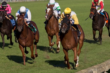 Jockey Emma-Jayne Wilson guides Lady Speightspeare to victory in the $250,000 dollar Natalma <br><br />
Stakes.Lady Speightspeare is owned by Charles Fipke and trained by Hall of Fame trainer Roger Attfield. Michael burns photo