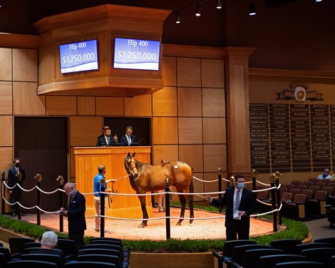 Hip 400 colt by American Pharaoh out of Swingit from Denali<br><br />
Fasig-Tipton Selected Yearlings Showcase in Lexington, KY on September 10, 2020.