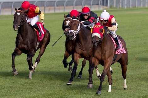 Singspiel Stakes Count Again under jockey Luis Contreras capture the $125,000 dollar race for owner Sam-Son Farm and trainer Gail Cox. Michael Burns Photo
