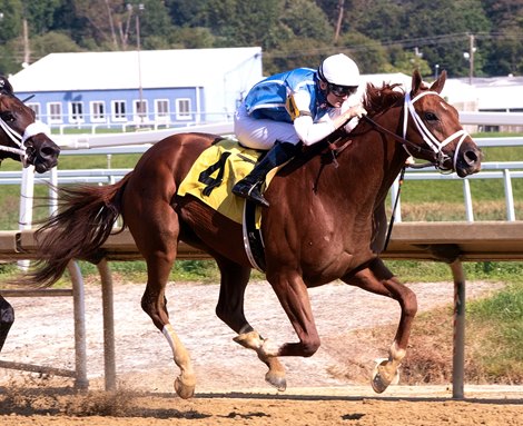 Happy Saver wins the Federico Tesio Stakes Monday, September 7, 2020 at Laurel Park