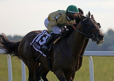 Moon Over Miami wins the 2020 Gun Runner Dueling Grounds Derby