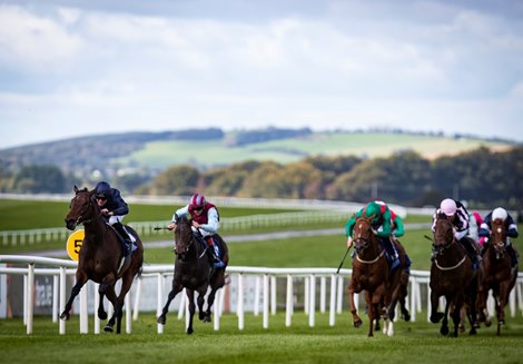 Santa Barbara (Seamie Heffernan) wins the 1m median sires maiden.<br><br />
The Curragh Racecourse.<br><br />
26.09.2020<br><br />
