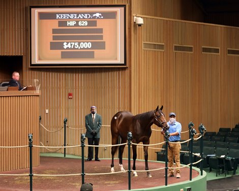 Hip 629, 2020 Keeneland September Yearling Sale