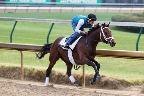 Art Collector - Morning - Churchill Downs - 092620
