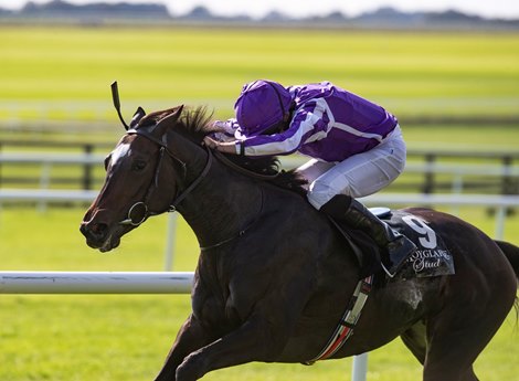 Shale and Ryan Moore winning the Moyglare Stud Stakes (Group 1)  Irish Champions Weekend The Curragh Racecourse. Photo: 13.09.2020 