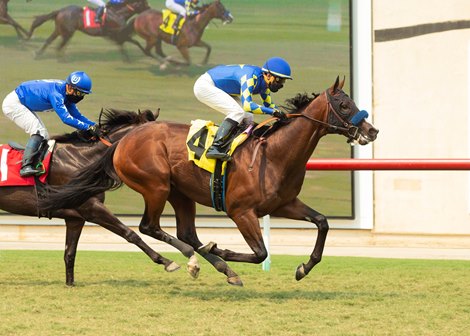 Tarantino wins maiden special weight September 7, 2020 at Del Mar