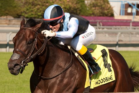 Jockey Kazushi Kimura guides Gretzky the Great to victory in the $250,000 dollar Summer Stakes, win and your in the Breeders&#39;s Cup.Gretzky the Great is owned by Gary Barber and Eclipse Thoroughbred Partners and trained by Mark Casse. Michael Burns Photo