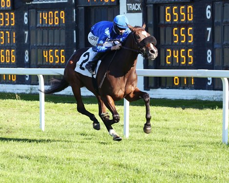 Javanica - Maiden Win, Arlington Park, September 18, 2020