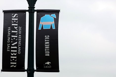Scenics, 2020 Keeneland September Yearling Sale