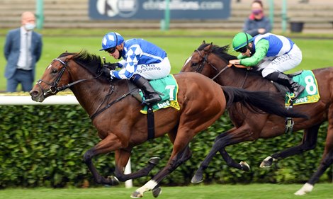 gosden thady train bloodhorse selwyn