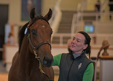 Lot 225 - Bay Colt; Mondialiste (IRE) / Break Free (GB) at 2020 Tattersalls Ascot Yearling Sale