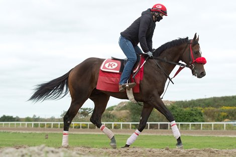 Clayton - Woodbine Racetrack - September 11, 2020