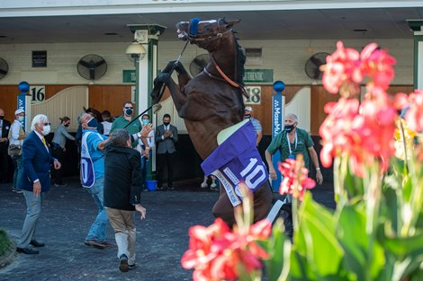 Thousand Words in the paddock before the Kentucky Derby (G1) at Churchill Downs, Louisville, KY on September 5, 2020.