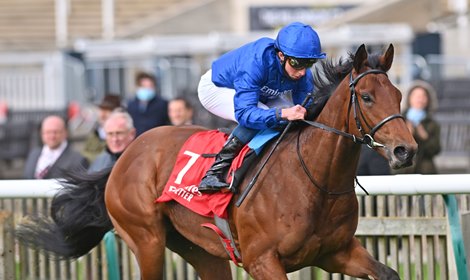 One Ruler (William Buick) wins The Emirates Autumn Stakes