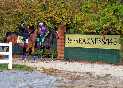 Authentic - Pimlico - October 1, 2020