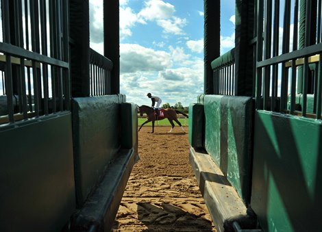 October 3. 2020; Keenland Fall Meet<br>
Warming up...<br>
