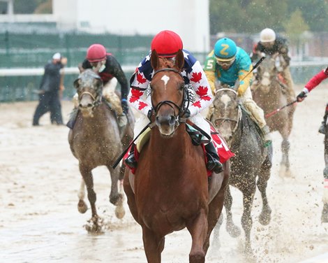 Attachment Rate - ALW, Churchill Downs, October 29, 2020