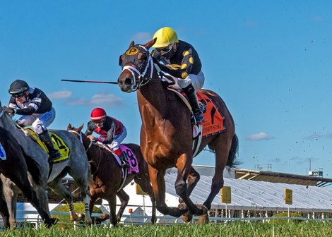 Catman wins the Laurel Futurity Saturday, October 3, 2020 at Pimlico Race Course